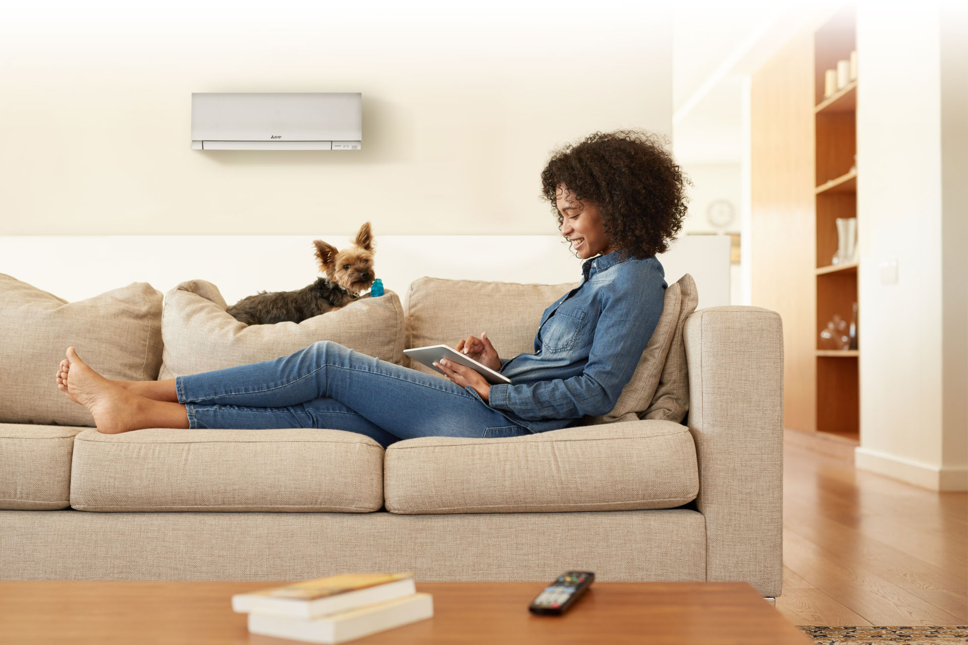 Mitsubishi Ductless In Living Room