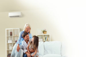 Mitsubishi Ductless In Family Room