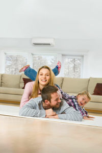 Silly Ductless Family