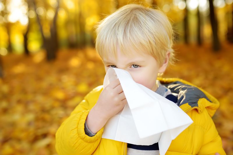 Humidifier Effects On Asthma And Allergies
