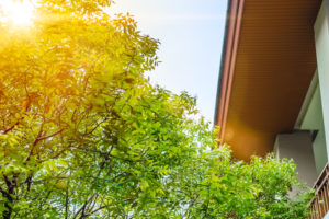 Five Reasons To Get An Air Purifier This Summer (Including Viruses)