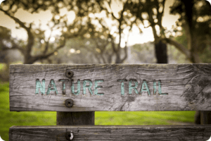 Haverford College Nature Trail